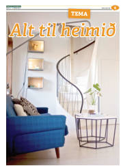 Síða 29