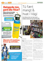 Síða 42