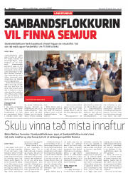 Síða 8