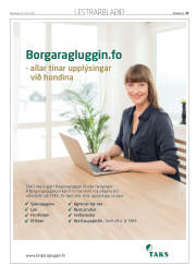 Síða 33
