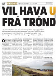 Síða 18