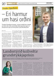Síða 20