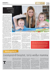 Síða 23