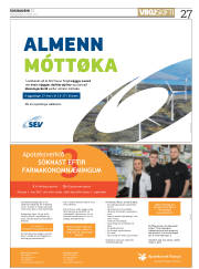 Síða 27