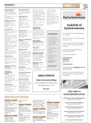 Síða 31