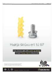 Síða 3