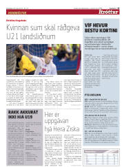 Síða 15
