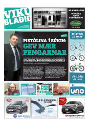 Síða 25