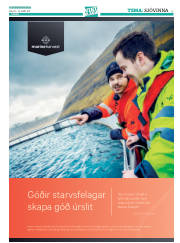 Síða 33
