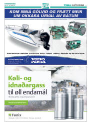 Síða 35