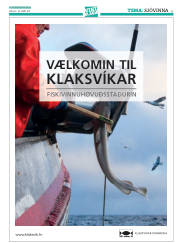 Síða 37
