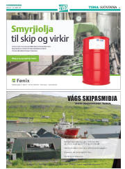Síða 41