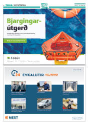 Síða 42