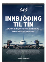 Síða 5