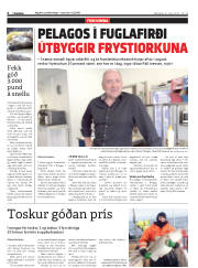 Síða 6