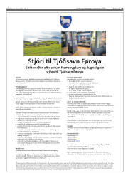 Síða 11