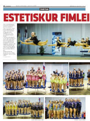 Síða 16