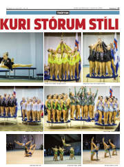 Síða 17