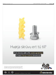 Síða 29