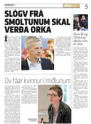 Síða 5