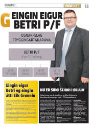Síða 11