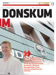 Síða 13
