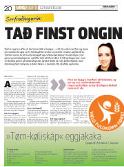 Síða 20