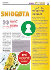 Síða 21