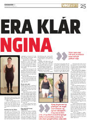 Síða 25