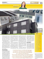 Síða 29