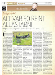 Síða 38