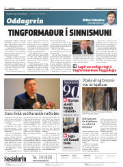 Síða 2