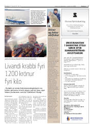Síða 7