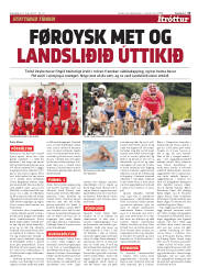 Síða 13