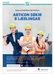 Síða 27