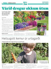 Síða 40