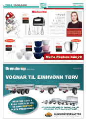 Síða 42