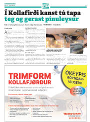 Síða 43