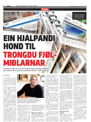 Síða 4