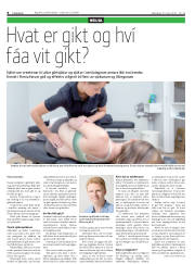 Síða 8