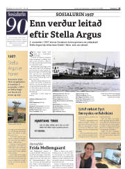 Síða 15