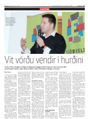 Síða 17