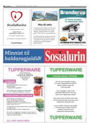 Síða 18