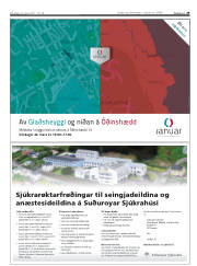 Síða 29