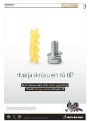 Síða 3
