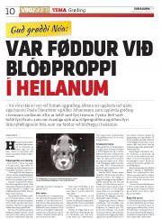 Síða 10