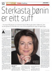 Síða 12