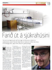 Síða 13