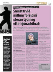 Síða 17
