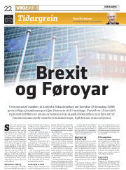 Síða 22